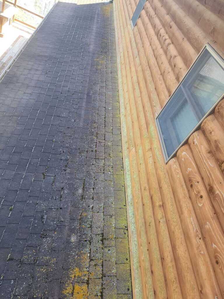Shingle Roof Repair in Cantrall, IL 