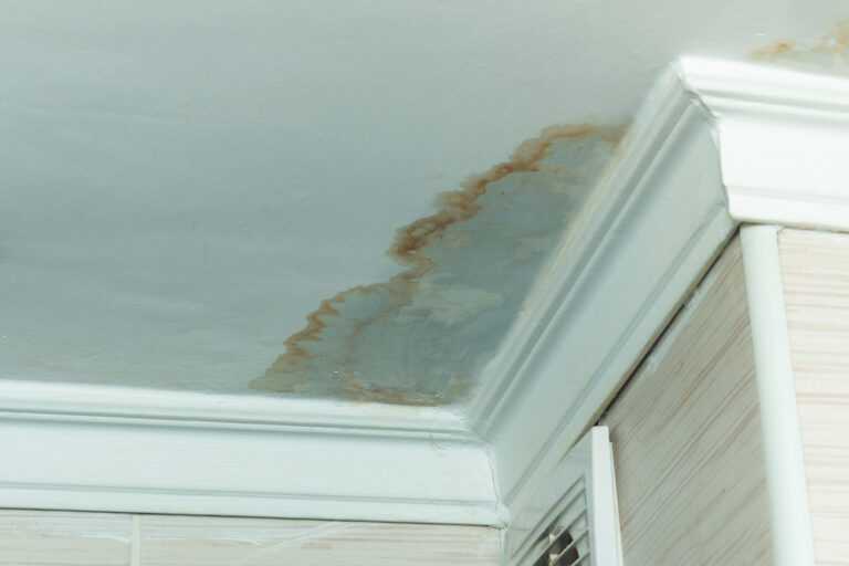 Common Causes of Roof Leaks and How We Can Fix Them