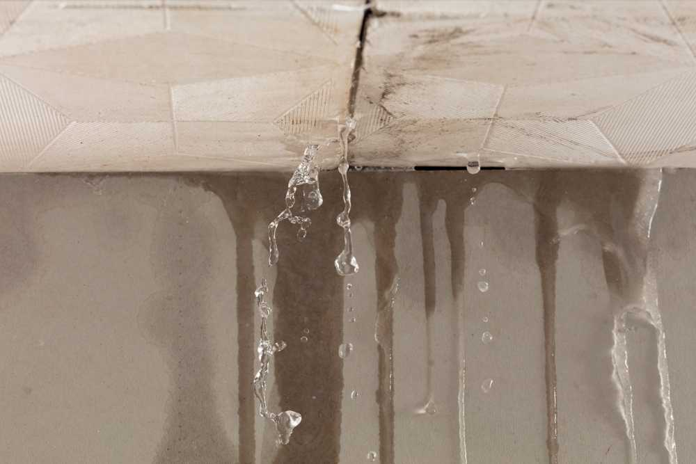 commercial roof leak repair